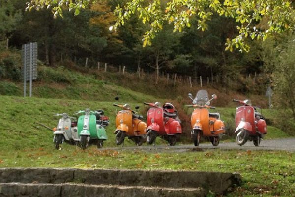 RESUMEN – 11ª SALIDA – LA TRANSGORBEANA – 9 NOVIEMBRE