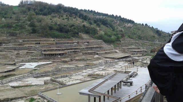 4 SALIDA – SALINAS DE AÑANA (SAL) – 12 ABRIL